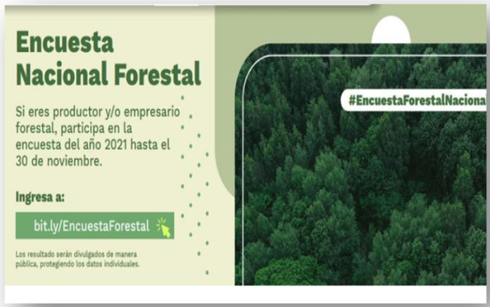 minambiente3