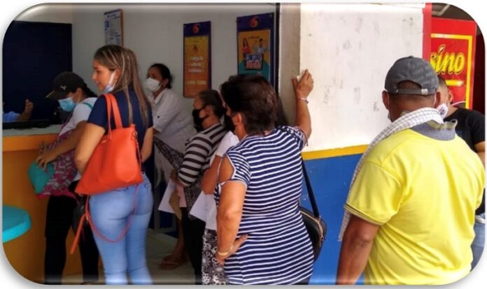 ingreso solidario