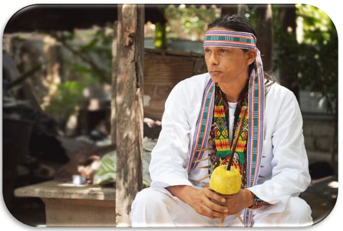 indigena (1)