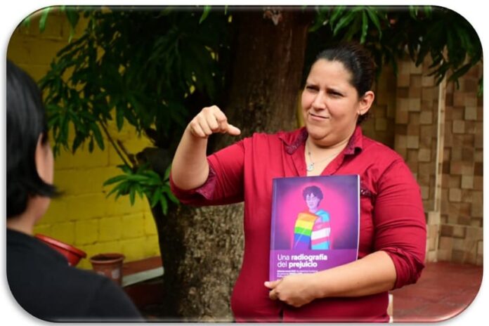 discapacidad comunidad ltbi+ (1)