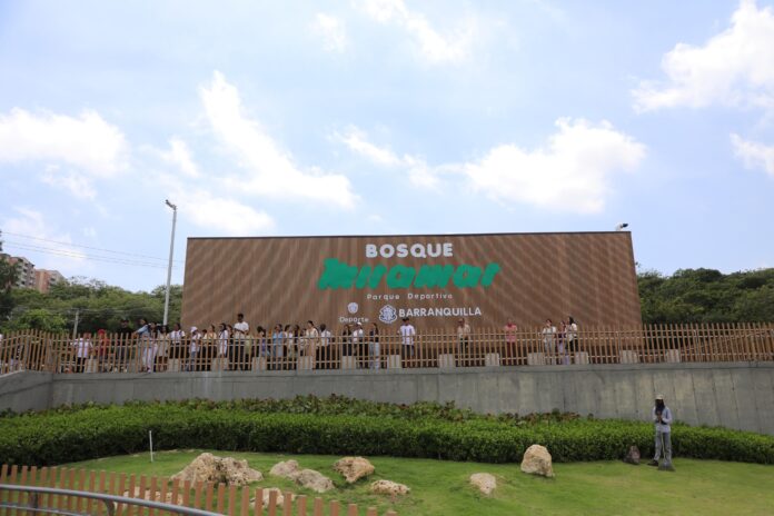 Bosque Miramar parque deportivo (11) (1)