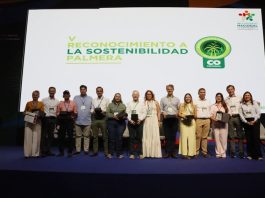 Ocho proyectos palmeros destacados por sostenibilidad en Colombia
