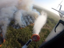 Alcaldía de Barranquilla coordina respuesta a incendio en el Parque Nacional Isla Salamanca; calidad del aire empeora en la ciudad