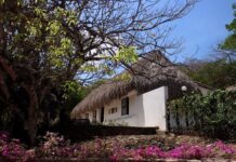 El Atlántico cambia de rumbo: del turismo de negocios a un destino que conquista nuevos visitantes