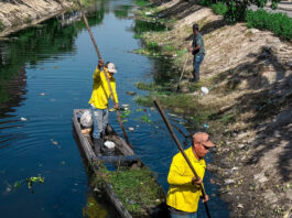14.200 toneladas de basura de caños, trampa y arroyos ha retirado la Alcaldía de Barranquilla durante 2026